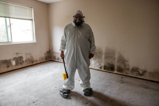 Best Mold Remediation for Specific Building Types in Greenville, OH